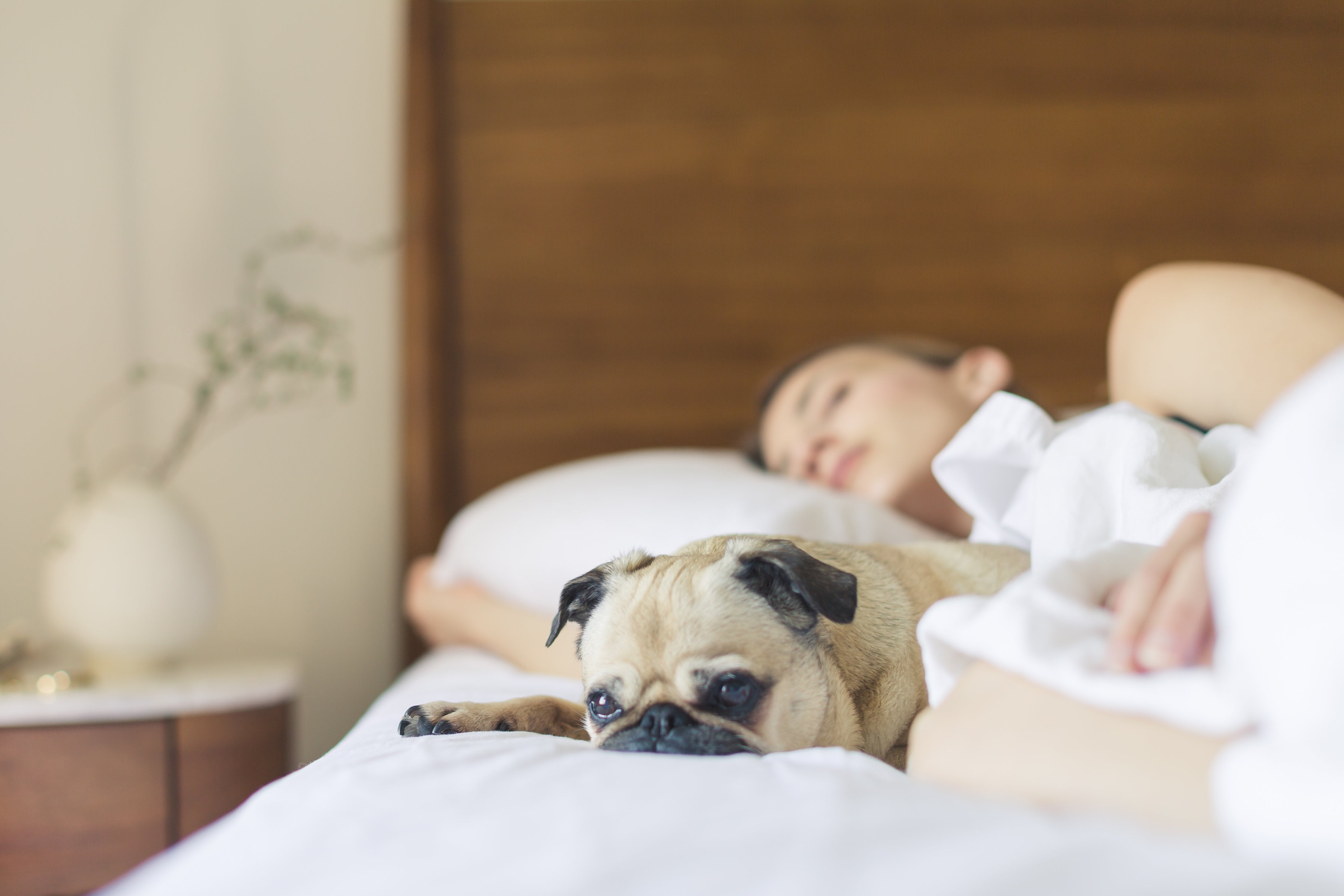 Does sleep affect cognitive function and how to ensure a good night's sleep?