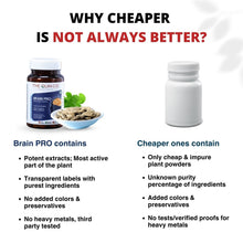 BRAIN PRO | Boost Memory, Focus & Clarity | L Theanine, Gingko Biloba & 21 Powerful Actives